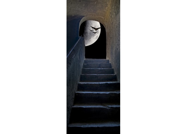 Наклейка на дверь Лестница с видом на луну в замке Санта Катерин